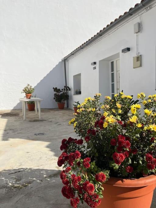 Casa La Fuente Alta Villa Algodonales Dış mekan fotoğraf