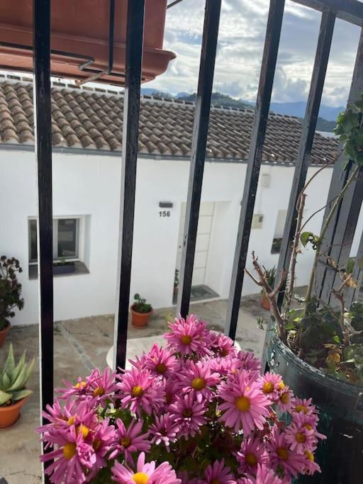 Casa La Fuente Alta Villa Algodonales Dış mekan fotoğraf