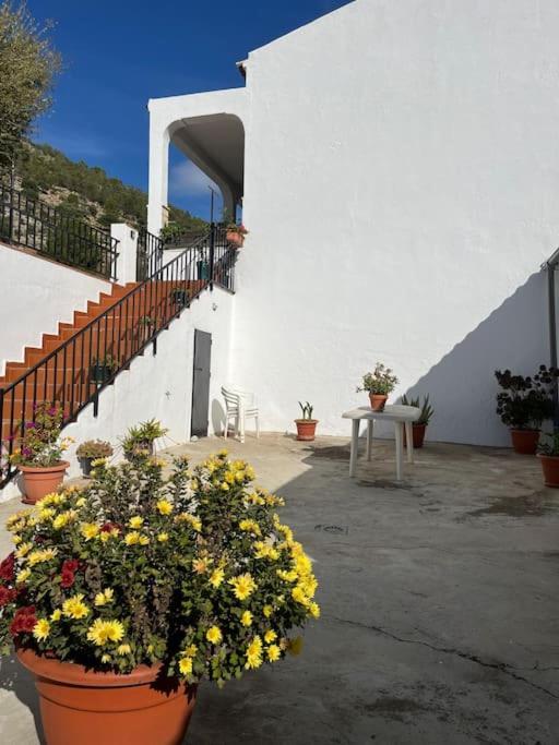 Casa La Fuente Alta Villa Algodonales Dış mekan fotoğraf