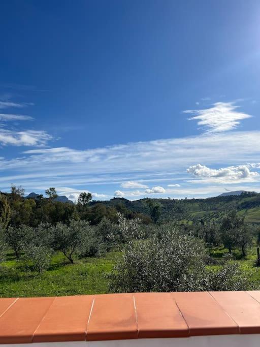 Casa La Fuente Alta Villa Algodonales Dış mekan fotoğraf