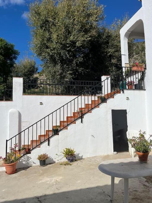 Casa La Fuente Alta Villa Algodonales Dış mekan fotoğraf